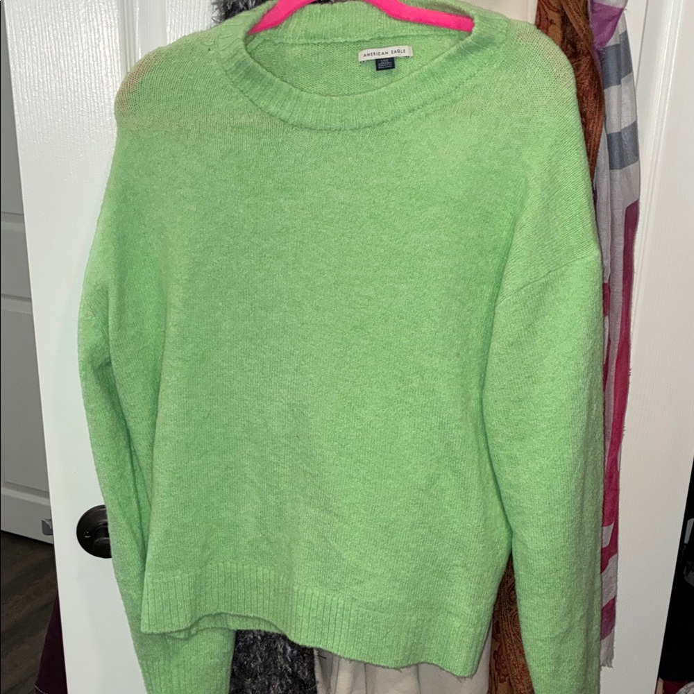 American Eagle Outfitters Light Green Crewneck Sweater